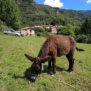 Chalet Mas La Cabanya Xalet De Muntanya, Beget